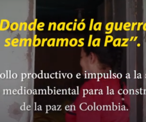 Desarrollo productivo e impulso a la sostenibilidad medioambiental para la construcción de la paz en Colombia